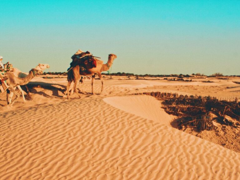 desert-tunisie désert tunisie