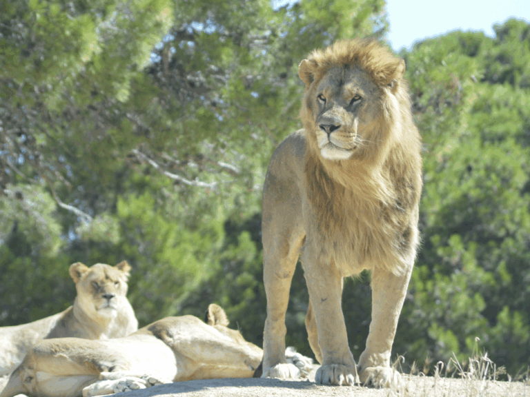 sejour-adapte-sigean sejour adapté sigean