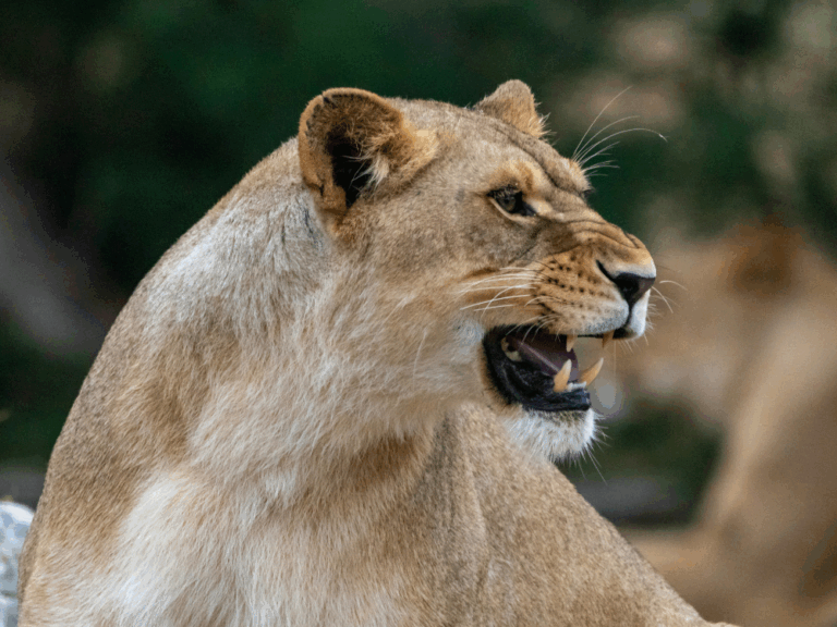 sejour-aude sejour aude