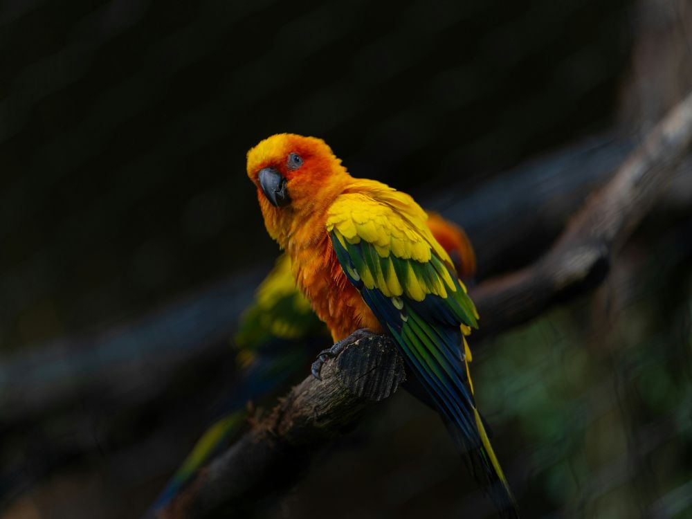 sejour zoo de beauval