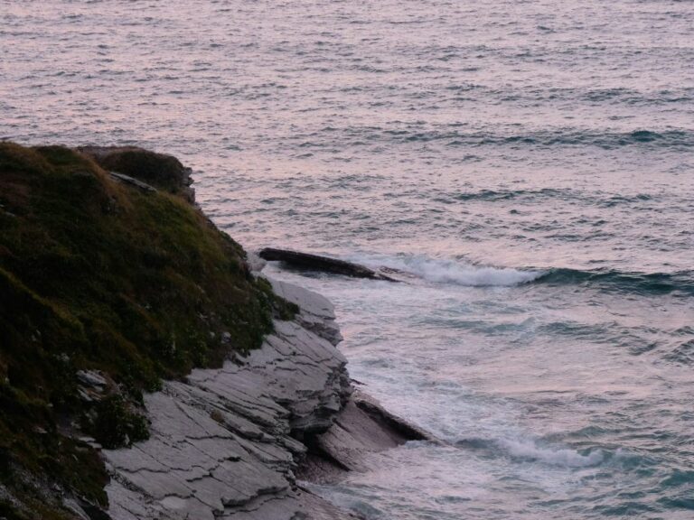 cote-basque cote basque